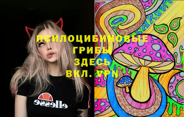 ПСИЛОЦИБИНОВЫЕ ГРИБЫ Алзамай