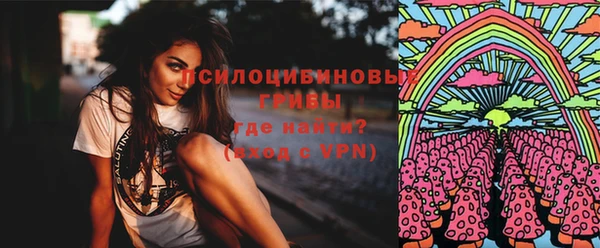 винт Алексин