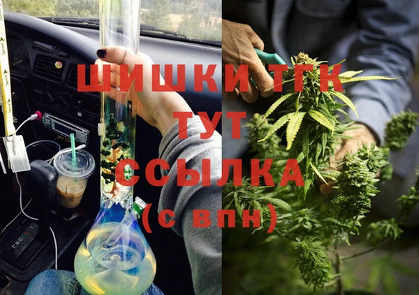 винт Алексин