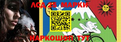 мдпв Кимры