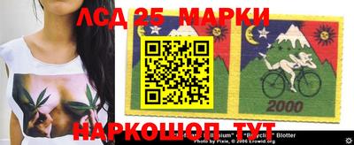 мдпв Кимры