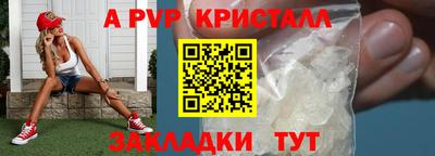 PSILOCYBIN Кингисепп