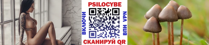 Псилоцибиновые грибы прущие грибы  Крымск 