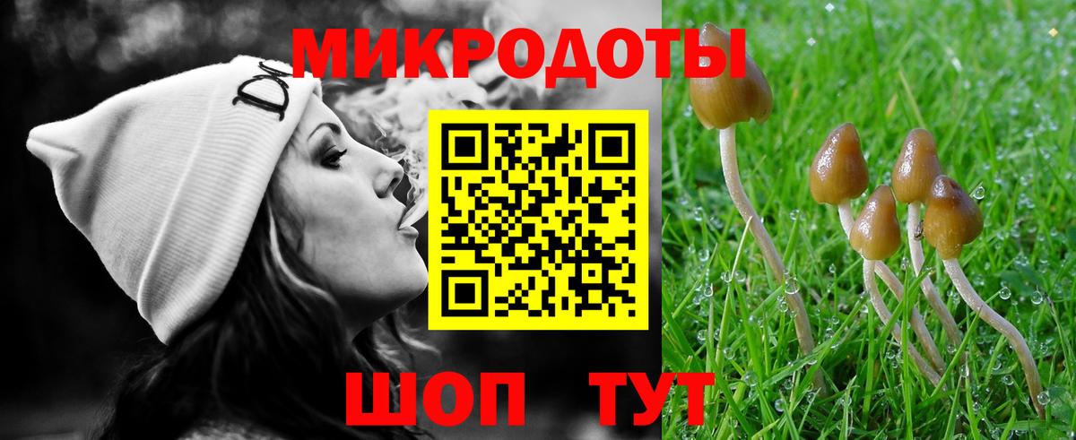 Псилоцибиновые грибы GOLDEN TEACHER  Вход с VPN  купить наркотики цена  Крымск 